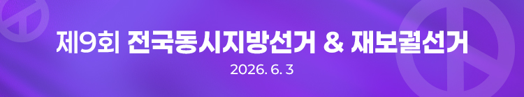 제9회 전국동시지방선거